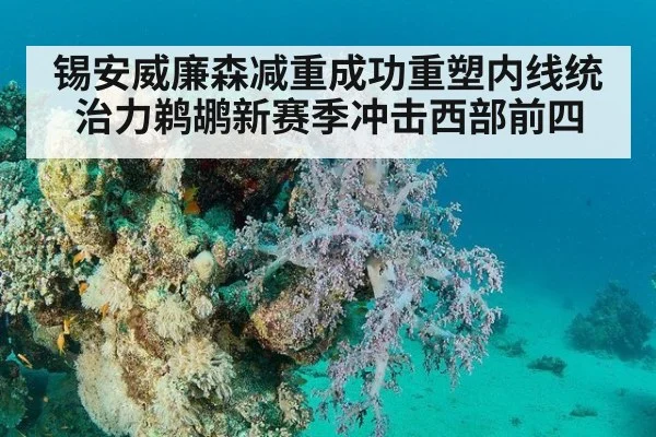 锡安威廉森减重成功重塑内线统治力鹈鹕新赛季冲击西部前四