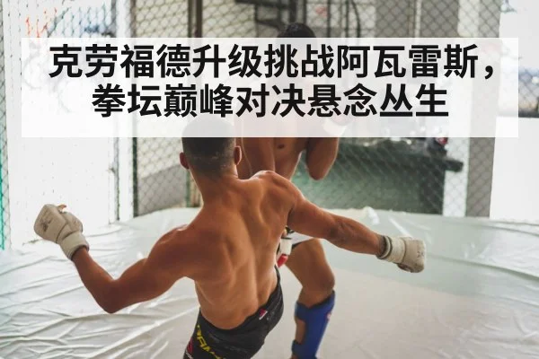 boxing fight